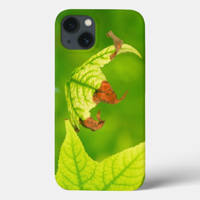 Coques Case-Mate iPhone Diseased maple leaf (Verso)