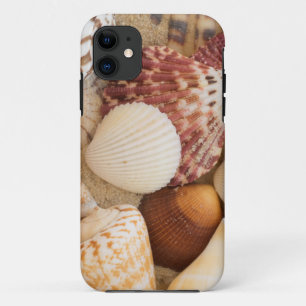 Coque iPhone 11 Disposition de coquillage