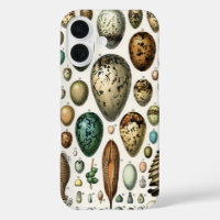 Divers types d'Oeuf Illustration scientifique