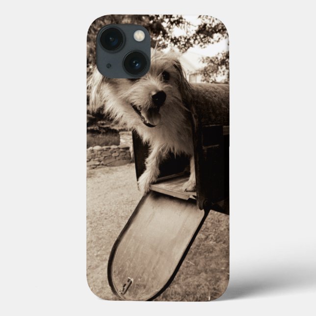 Coques Case-Mate iPhone Dog Inside a Mailbox (Verso)