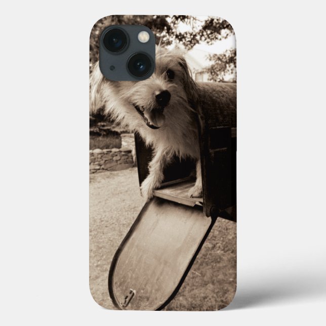 Coques Case-Mate iPhone Dog Inside a Mailbox (Verso)