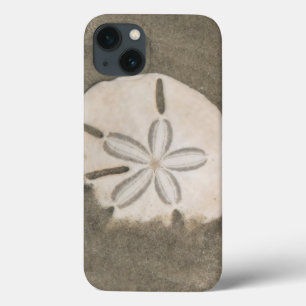 iPhone 13 Coque Dollar de sable (Echinarachnius parma)