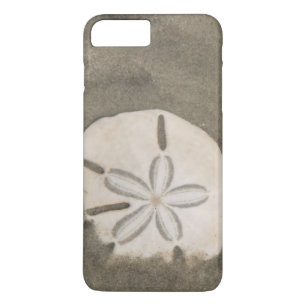 Coques Pour iPhone Dollar de sable (Echinarachnius parma)