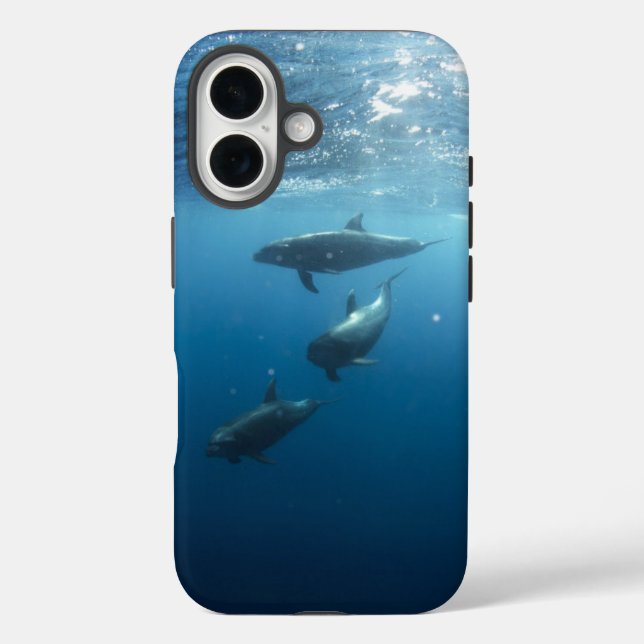 Coques Case-Mate iPhone Dolphin Family (Verso)