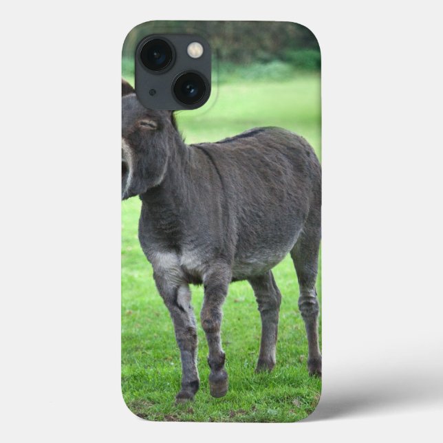 Coques Case-Mate iPhone Donkey Laugh iPad Mini Case (Verso)