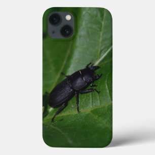 Case-Mate iPhone Case Dorcus parallelipipedus, le moindre dendroctone du