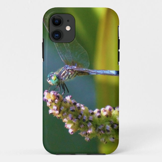 Coques Case-Mate iPhone Dragonfly aux yeux turquoises (Dos)