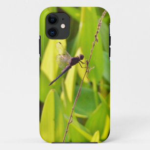 Coque iPhone 11 Dragonfly Blue et noir sur l'herbe.