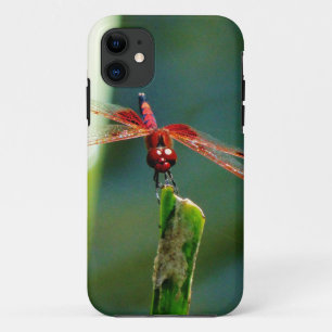 Case-Mate iPhone Case Dragonfly frontale rouge et noire