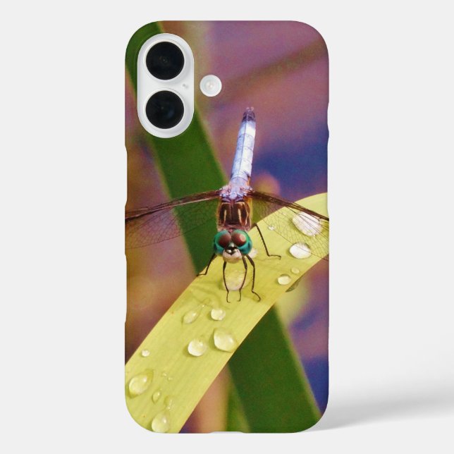 Coques Case-Mate iPhone Dragonfly sur la feuille de pluie (Verso)