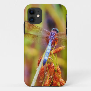 Coque iPhone 11 Dragonfly turquoise sur le carex