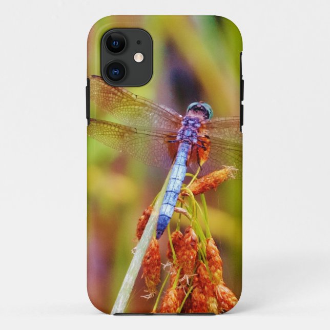 Coques Case-Mate iPhone Dragonfly turquoise sur le carex (Dos)