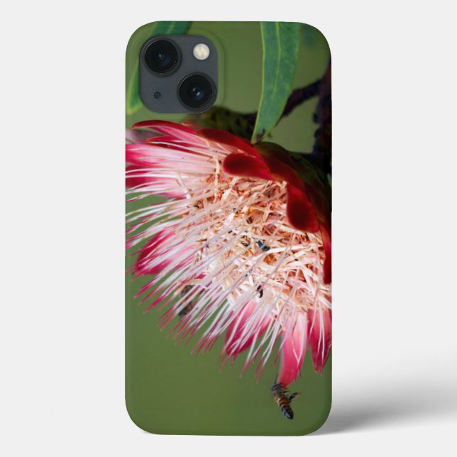 Coques Case-Mate iPhone Drakensberg Sugarbush (Protea Dracomontana) (Verso)