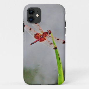 COQUE Case-Mate POUR iPhone DSC00029.JPG