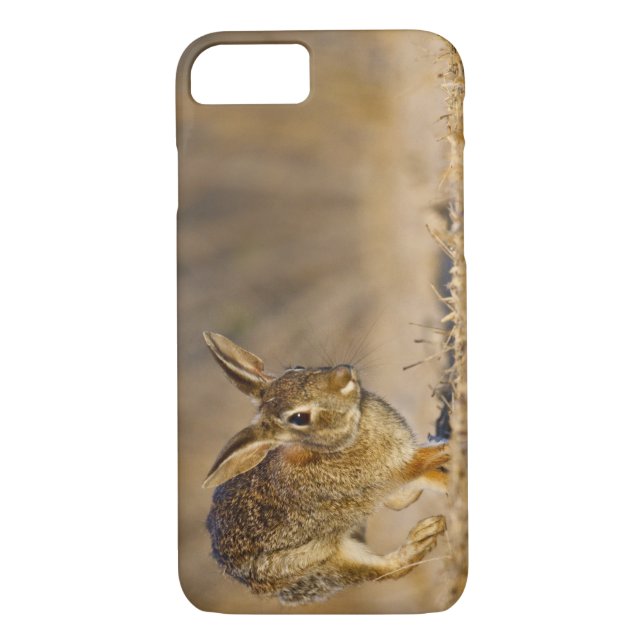 Coques Case-Mate iPhone Eastern cottontail rabbit hopping (Dos)