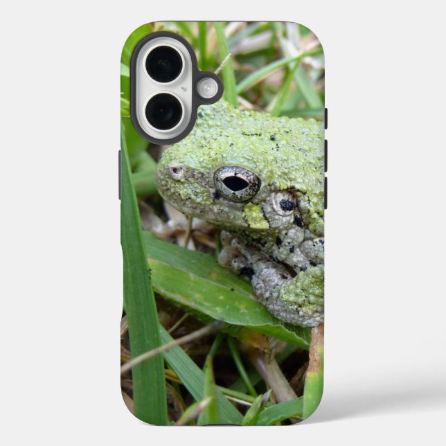Coques Case-Mate iPhone Eastern Grey Treefrog Nature Photography (Verso)