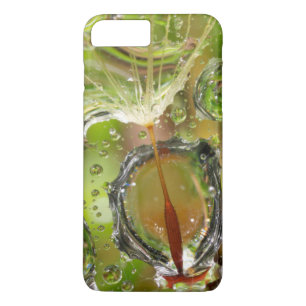 Etui iPhone Case-Mate Eau sur graine de pissenlit, CA
