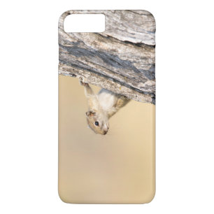 Coque iPhone 8 Plus/7 Plus Écureuil