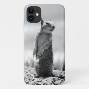 Case-Mate iPhone Case Écureuil