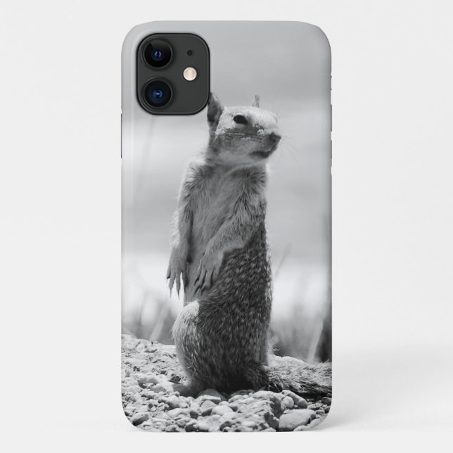 Coques Case-Mate iPhone Écureuil (Dos)