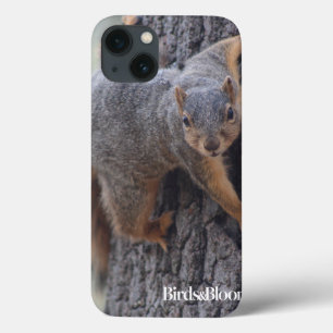 Case-Mate iPhone Case Écureuil de accrochage