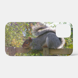 Coques Pour iPhone écureuil gris reposant photo originale de la faune