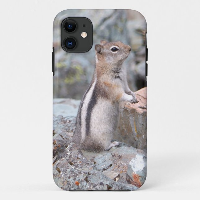 Coques Case-Mate iPhone Écureuil terrestre à manteau doré à Glacier II (Dos)