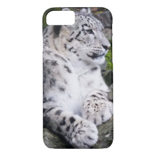 Coque iPhone 8/7 Effrayant léopard de neige