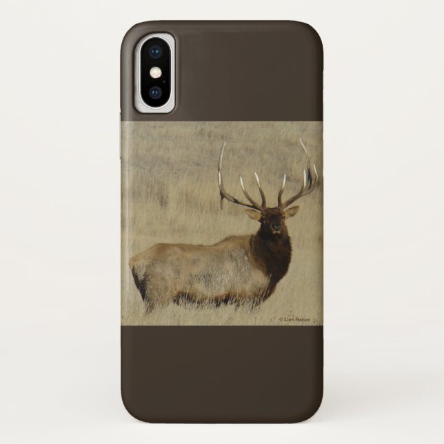 Coques Case-Mate iPhone Élan mâle E30 Gros Taureau (Dos)