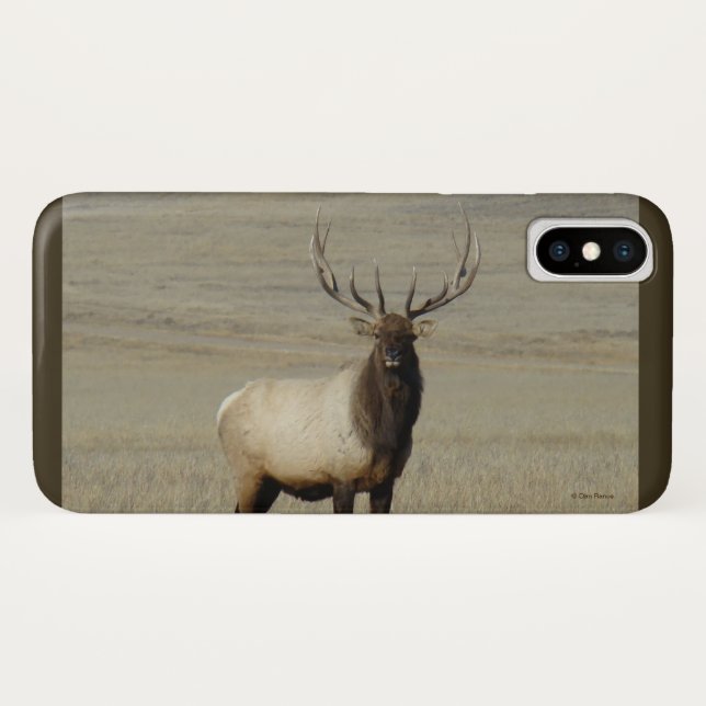 Coques Case-Mate iPhone Élan mâle E46 (Dos (Horizontal))