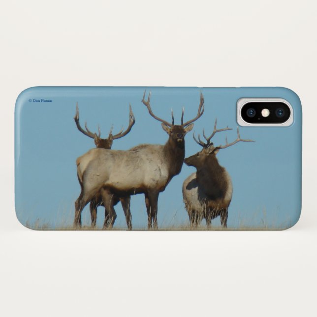 Coques Case-Mate iPhone Élan mâle E60 sur fond de ciel (Dos (Horizontal))