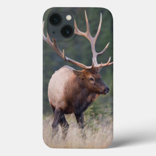 Etui iPhone Case-Mate Élans de montagne rocheuse