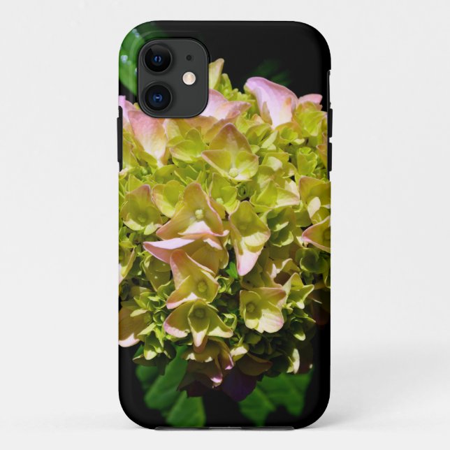 Coques Case-Mate iPhone Élégantes fleurs d'Hydrangée vert jaune rose (Dos)