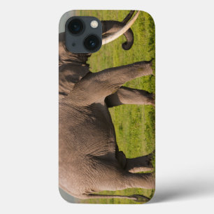 iPhone 13 Coque Éléphant africain, région de conservation de