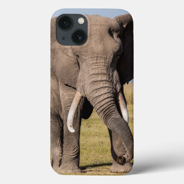Coques Case-Mate iPhone Éléphant dans une pose agressive (Verso)