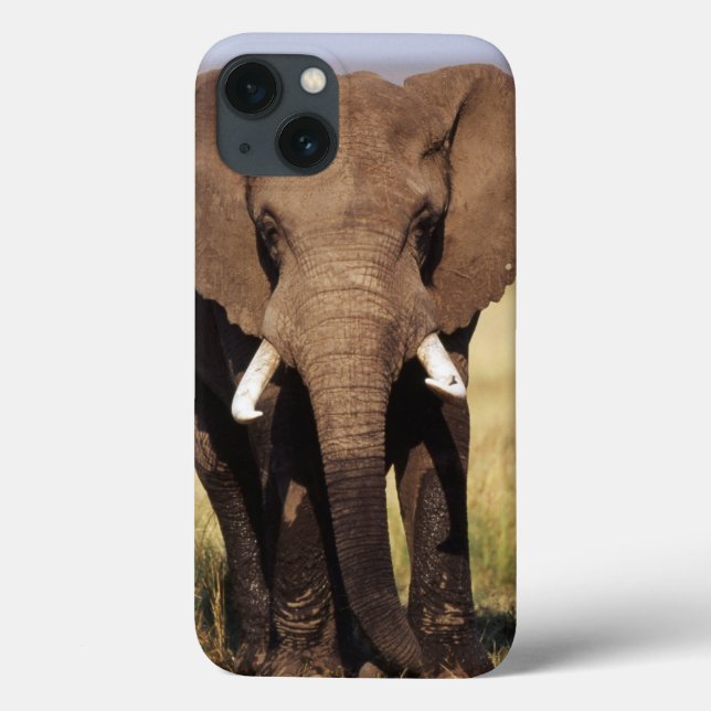 Coques Case-Mate iPhone Éléphant de Bush d'Africain (Verso)