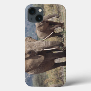 Coques Pour iPhone Éléphant de mère marchant avec le veau d'éléphant