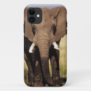 Coque Case-Mate iPhone Éléphant de savane d'Afrique