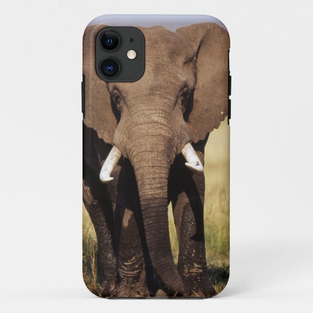 Coques Case-Mate iPhone Éléphant de savane d'Afrique (Dos)