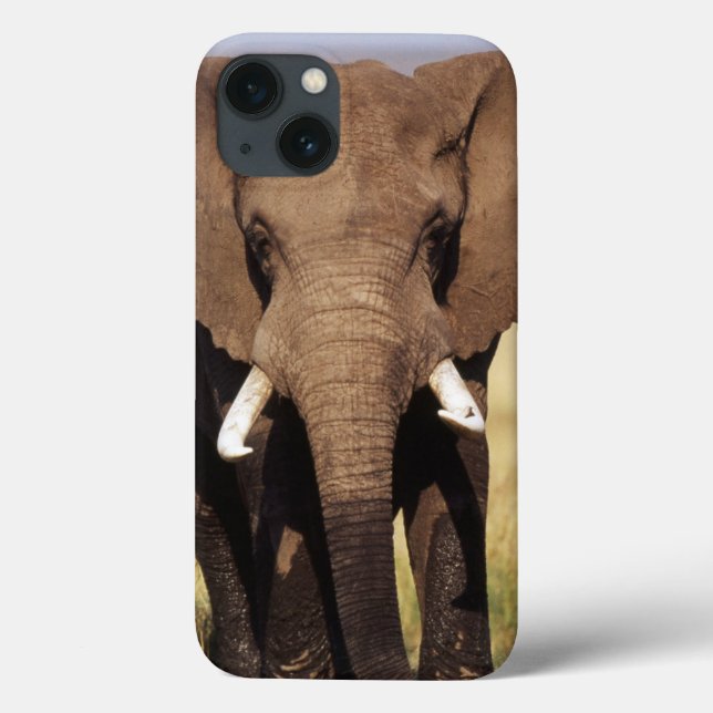 Coques Case-Mate iPhone Éléphant de savane d'Afrique (Verso)