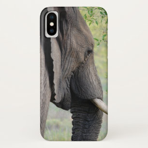 Case-Mate iPhone Case Eléphant gris africain exotique
