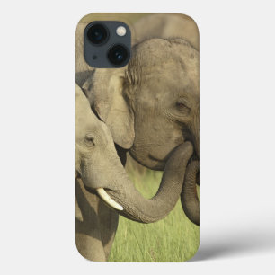 iPhone 13 Coque Éléphants asiatiques indiens