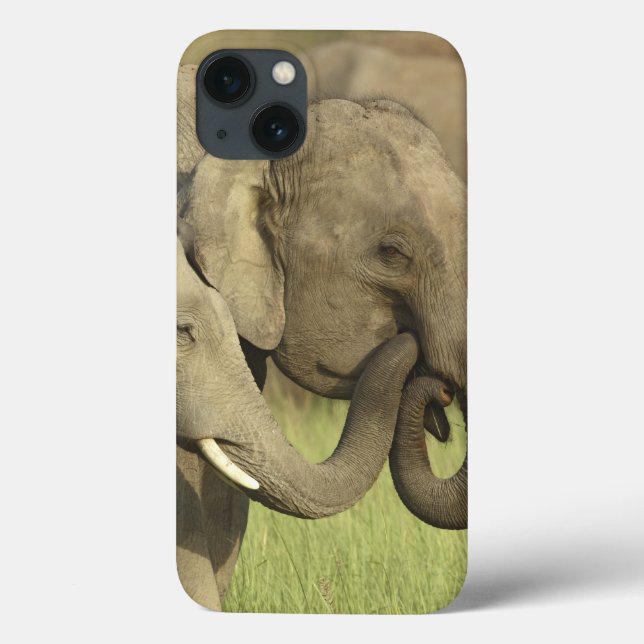 Coques Case-Mate iPhone Éléphants asiatiques indiens (Verso)