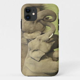 Coque Case-Mate Pour iPhone Éléphants asiatiques indiens