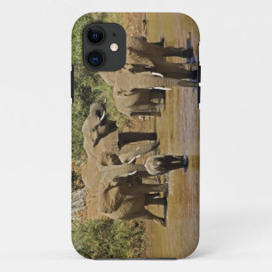 Coques Pour iPhone Éléphants d'Afrique, Loxodonta Africana, Samburu