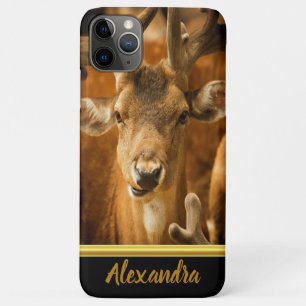 Case-Mate iPhone Case Elk buck vous regarde droit