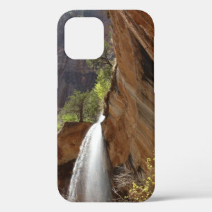 Case-Mate iPhone Case Emerald Pool Falls III du Parc national de Zion