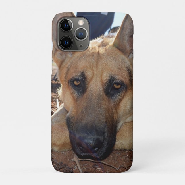 Coques Case-Mate iPhone Entitlement Somnolent : Jeune berger alsacien, (Dos)