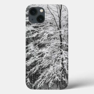 iPhone 13 Coque Érable en contours dans la neige
