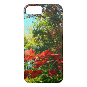 Coque iPhone 7 Érable japonais en automne